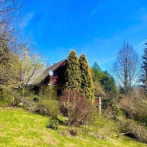 Dom na Jeżynowym Wzgórzu - Blackberry Hill Cottage Radziechowy Exterior photo