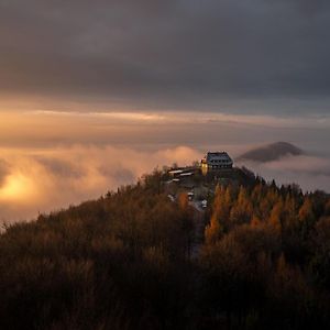 Hotel Hochwaldbaude Hain  Exterior photo