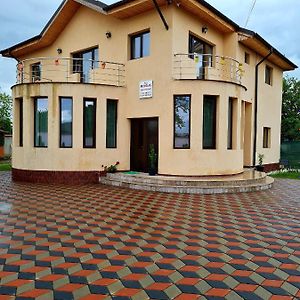 Vila Nicholas Bărcăneşti Exterior photo