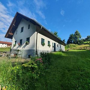 Apartamento Ferienhaus Am Dachsberg, Bayerischer Wald Haselbach Exterior photo