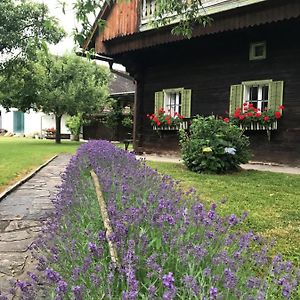 Bauernhaus Süd- West- Steiermark am Radweg für die Familie&FreundInnen Sankt Martin im Sulmtal Exterior photo