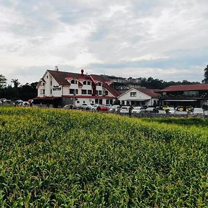 Hotel Penzión Hoffer Nitra Exterior photo