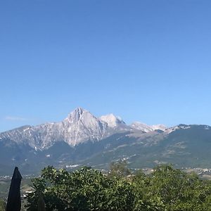 Agriturismo Flara Bed and Breakfast Basciano Exterior photo