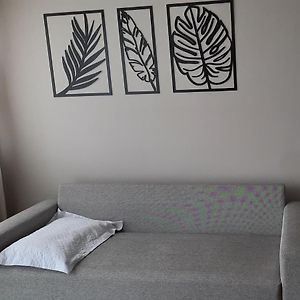 Apartamento inteiro e completo em Tijucas moderno e confortável Exterior photo