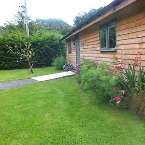 The Potting Shed And The Garden Shed Self Catering Villa Carmarthen Exterior photo