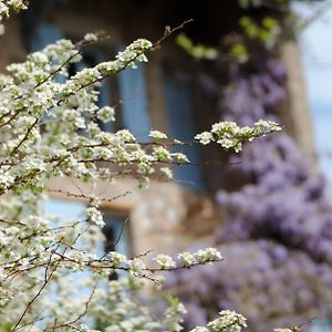 Chambre Privative Et Originale, A 20 Mn De Cluny Bed and Breakfast Trivy Exterior photo