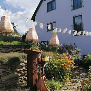 Apartamento Im Erzgebirge Wandern, Fahrrad Fahren Oder Entspannen Ehrenfriedersdorf Exterior photo