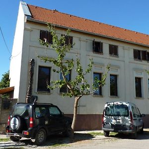 Vadászkürt Vendégfogadó Bed and Breakfast Alsonyek Exterior photo