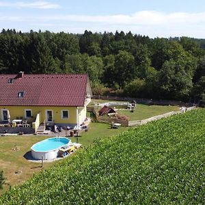 Apartamento Haus Sonberg Mit Garten, Pool, Fasssauna, Semi Detached House With Garden Deutschlandsberg Exterior photo