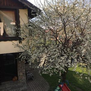 Hotel Pensiunea Darma Rîşnov Exterior photo