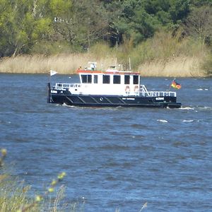 Apartamento Elbe Ferien Marschacht Exterior photo