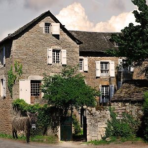 Maison D'Hotes La Singuliere Bed and Breakfast Sévérac-le-Château Exterior photo