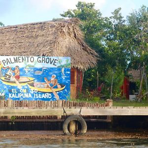 Palmento Grove Garifuna Eco-Cultural&Fishing Institute Hopkins Exterior photo