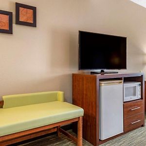 Comfort Suites North Elkhart Exterior photo