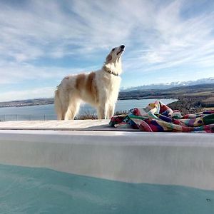 Swiss Borzoi House Bed and Breakfast Vully-les-Lacs Exterior photo