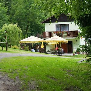 Apartamento Pension U Štěpánků Trpisovice Exterior photo