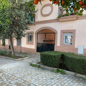 Sevilla. Gerena Casa Rural para familia o profesionales Exterior photo