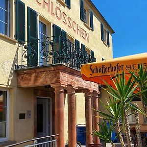Das Muldenschlosschen - Gastehaus & Restaurant Lunzenau Exterior photo