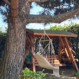 Apartamento Roman Attic In The Suburbs Of Ivrea Burolo Exterior photo