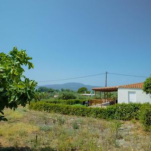 At The Messinian'S Bay Villa Velíka Exterior photo