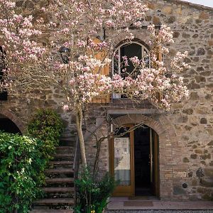 La Magnolia Bed and Breakfast Greve in Chianti Exterior photo