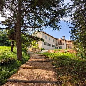 Agriturismo Monte Bisson Villa Soave  Exterior photo