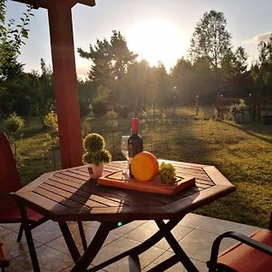 Tranquilidad y descanso en Villarrica - Pucón Exterior photo