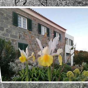 Hotel Belo Campo - Ilha Do Faial Castelo Branco  Exterior photo