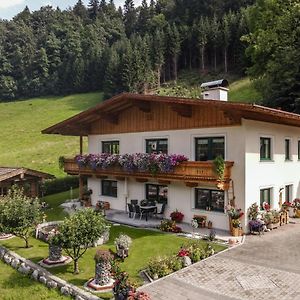 Apartamento Haus Am Waldrand Hopfgarten im Brixental Exterior photo