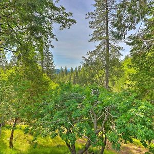 Apple Hill Home 10 Acres With Beautiful Views! Camino Exterior photo