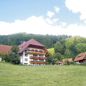 Apartamento Geigerbauernhof Mühlenbach Exterior photo