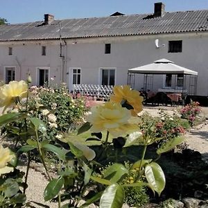 Le Vieux Logis Bed and Breakfast Montreuil-Bellay Exterior photo
