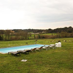 Mas Goy, casa rural con piscina Villa Gerona Exterior photo