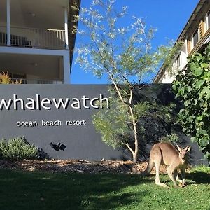 Whale Watch Ocean Beach Resort Point Lookout Exterior photo