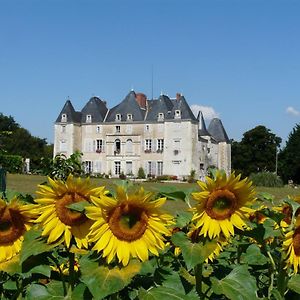 Chateau De Piolant Bed and Breakfast Dange-Saint-Romain Exterior photo