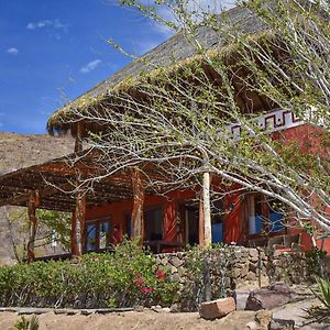 Stay At A Ranch! Horseback Riding & Food Included! La Paz Exterior photo