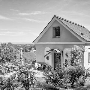 Ferienhaus "Troadkammer" In Der Suedsteiermark Villa Oberhaag Exterior photo