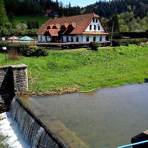 Hotel Penzion U Busu Mala Bystrice Exterior photo