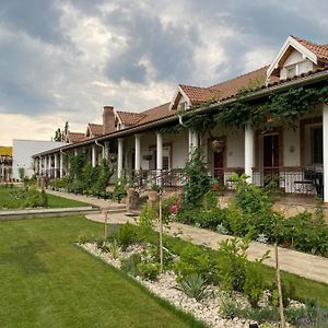 Country Club La Mesteceni Sebeş Exterior photo