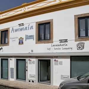 Hotel Ammaia Al Portalegre Exterior photo