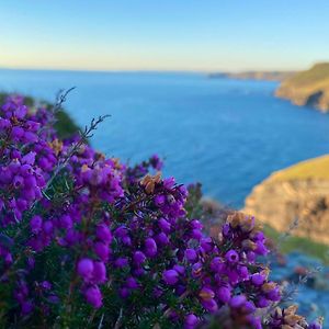 Polrunny Farm Sloe Cottage With A Sea View Boscastle Exterior photo