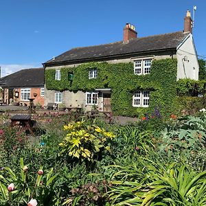 The Coppleridge Inn Motcombe Exterior photo