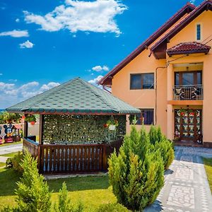 Hotel Pensiunea Adrian Novaci-Străini Exterior photo