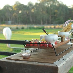 Wagtail Nest Country Retreat - Longford Vic 3851 Bed and Breakfast Sale Exterior photo