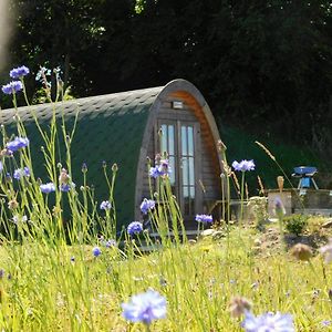 Cosy Pod-Cabin Near Beautiful Landscape In Omagh Villa Exterior photo