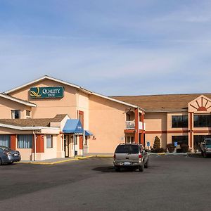 Quality Inn Grand Rapids Near Downtown Exterior photo