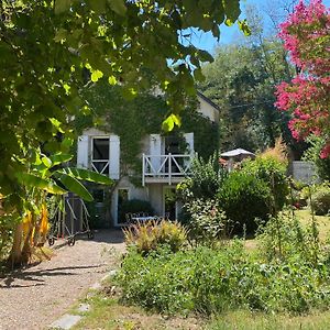 Apartamento Chambre bananier: maison arborée face à la rivière Saint-Fiacre-sur-Maine Exterior photo