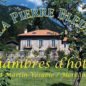 La Pierre Bleue / Chambres D'Hotes Saint-Martin-Vésubie Exterior photo