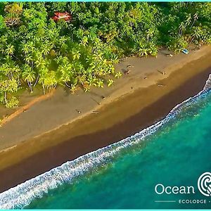 Ocean Forest Ecolodge San Pedrillo Exterior photo