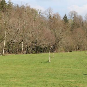 Heddfan, Luxury 3 Bedroom Timber Lodge, Now With Wifi, Caer Beris Holiday Park, Builth Wells, Sorry No Tradesmen Or Contractors Allowed Exterior photo